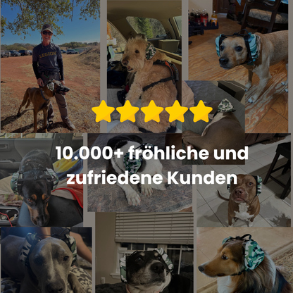 SafeEars - Gehörschutz für Hunde